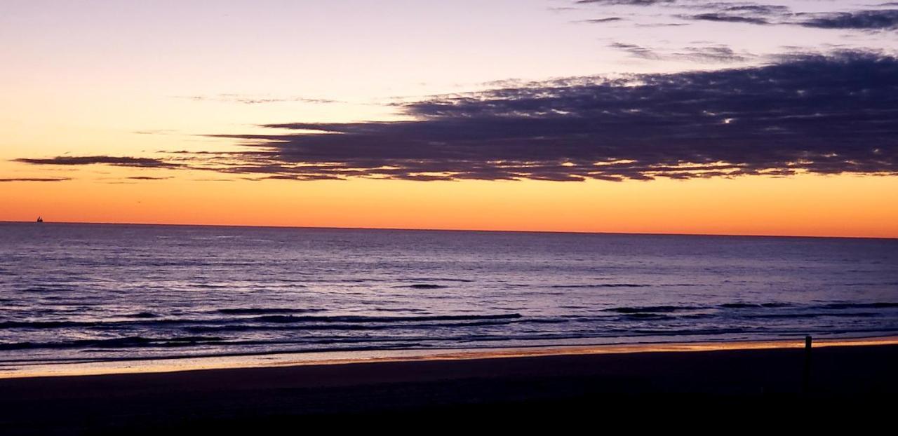 Beachfront Sanctuary Appartement South Padre Island Buitenkant foto