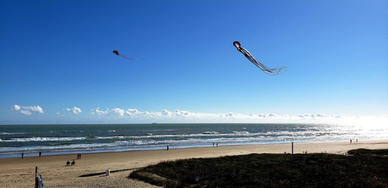 Beachfront Sanctuary Appartement South Padre Island Buitenkant foto